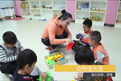 感統(tǒng)訓練和早教課的區(qū)別