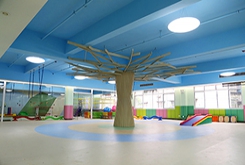 武漢優(yōu)佳加感統(tǒng)訓(xùn)練專(zhuān)業(yè)嗎？