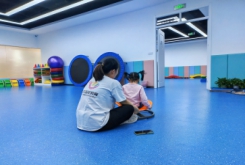 武漢哪里可以做感覺統(tǒng)合訓(xùn)練